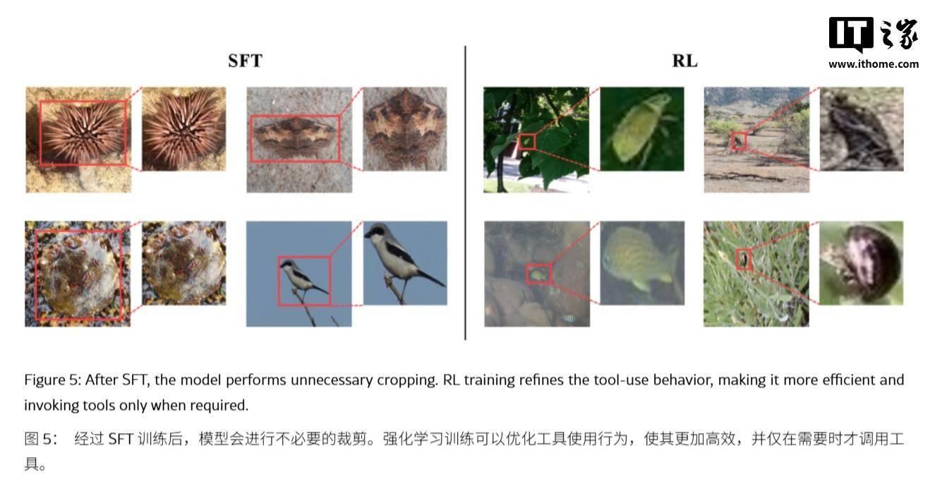 遏制AI幻觉：苹果DeepMMSearch-R1论文揭秘“图像裁剪”搜索术