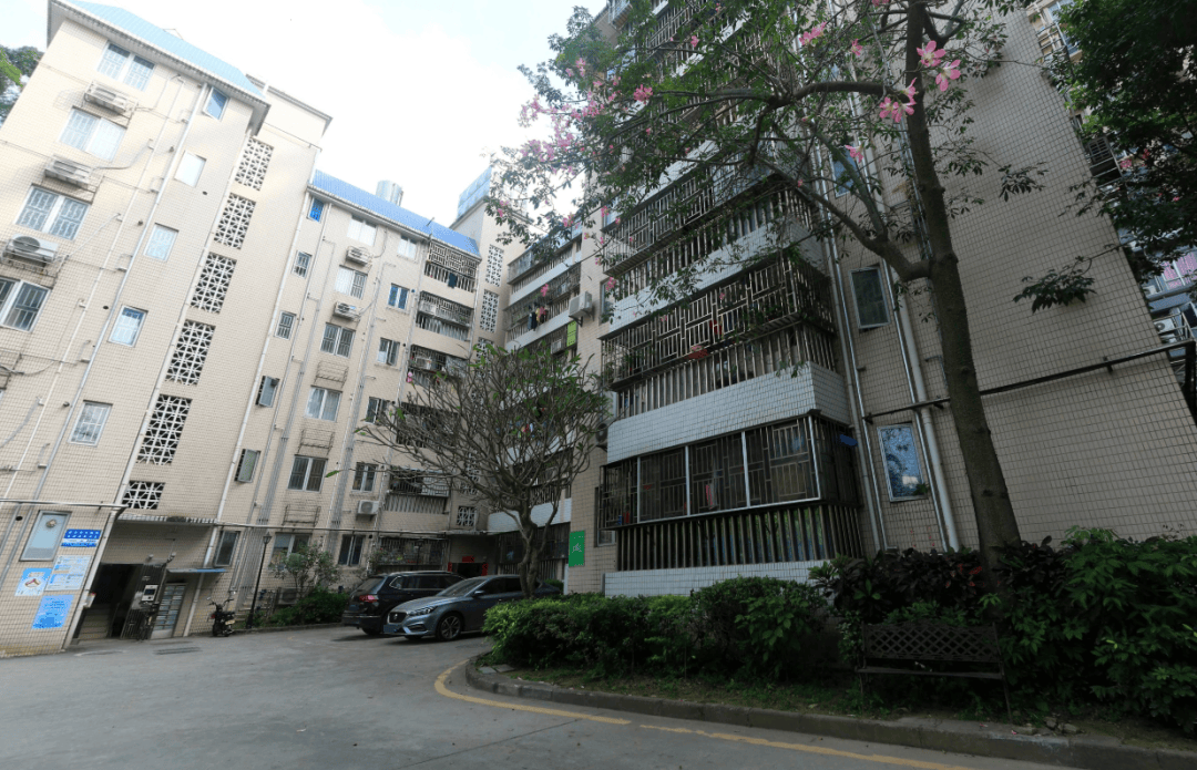 月租360元起！靠近沙頭角站，鹽田區海安居公租房介紹