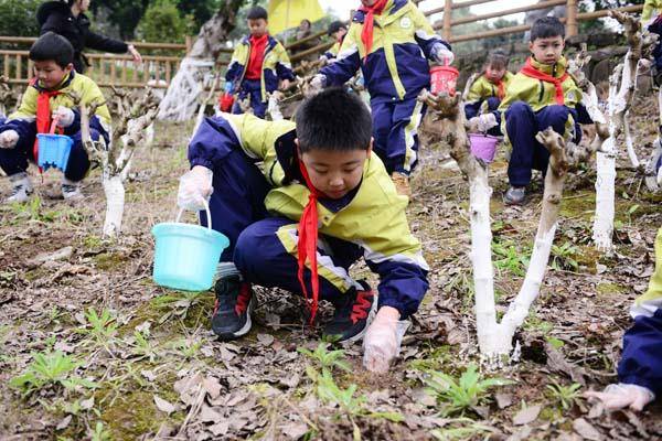 荒坡變課堂 這所小學創新特色勞動育人模式