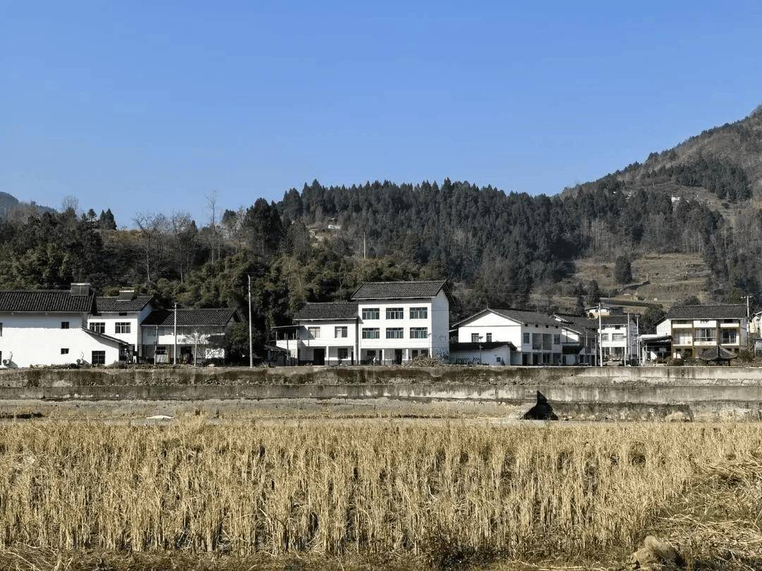 “會玩是件天大的事”！一農村小學走紅，有人舉家搬遷，“學區房”一房難求