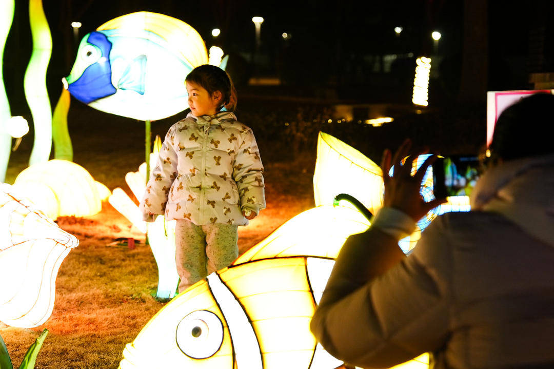 賞花燈、品美食、看錶演……2026濟寧太白湖新春燈會開幕