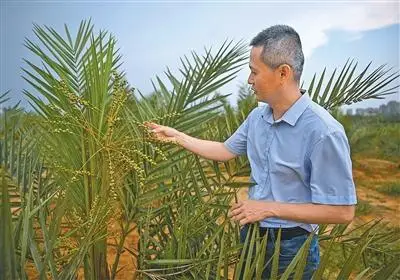 中外熱帶農業科技合作結碩果