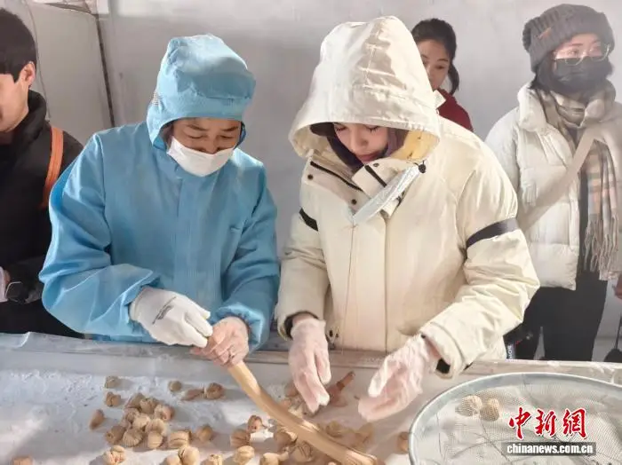 上合組織國家留學生走進上合示範區 感受十足“中國年味”