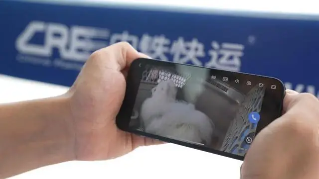 收藏！110個寵物託運車站全名單