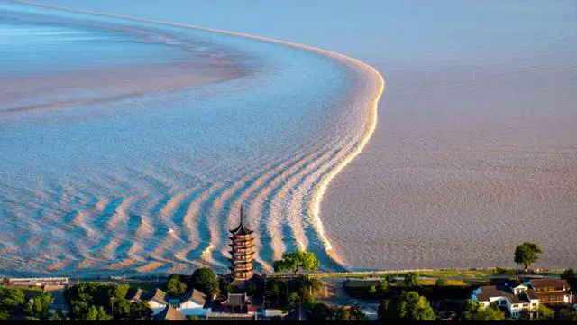 幹中學與學中幹