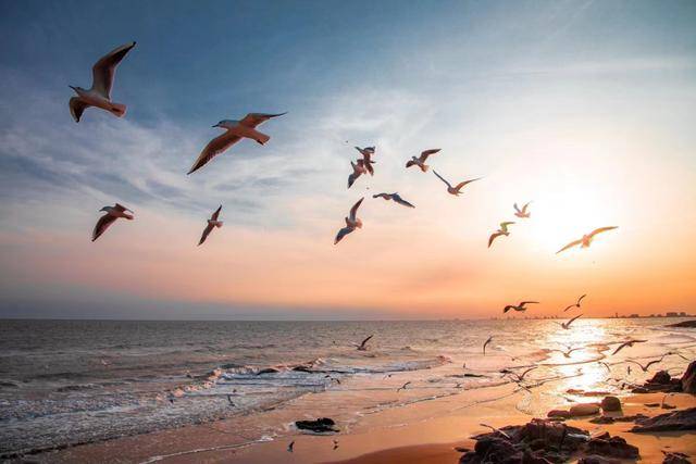 秦皇島北戴河榮登年度“旅遊增速TOP10”，冬天的她美出新高度！