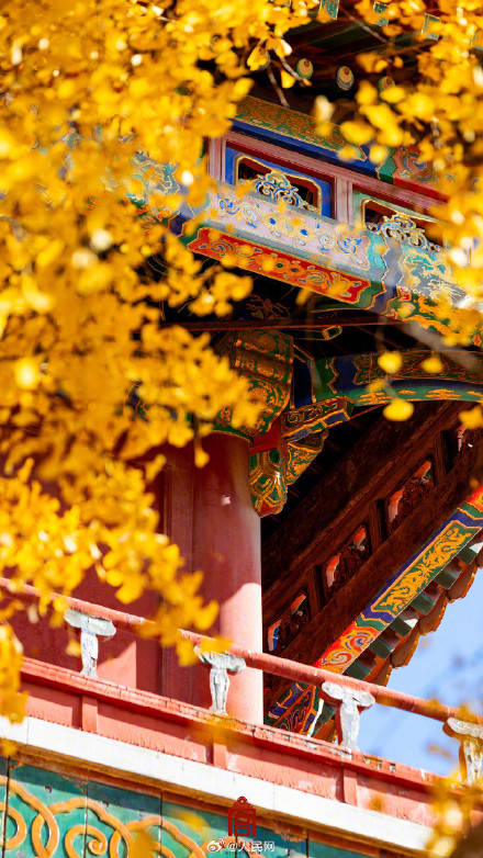 轉發收藏！故宮收藏了一整年的詩意