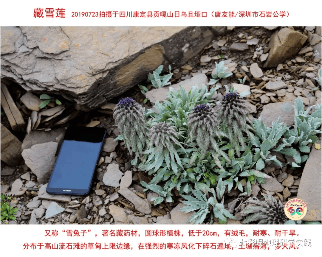 200個地理閱讀和命題的好素材