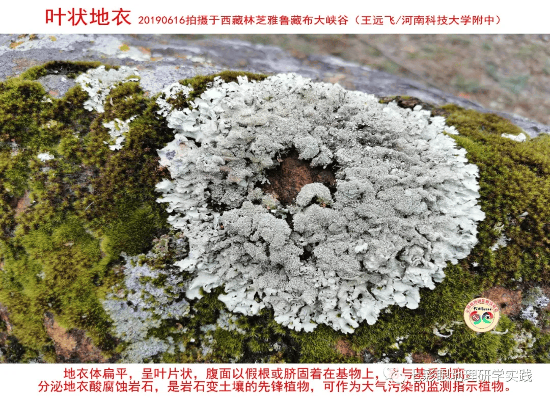 200個地理閱讀和命題的好素材