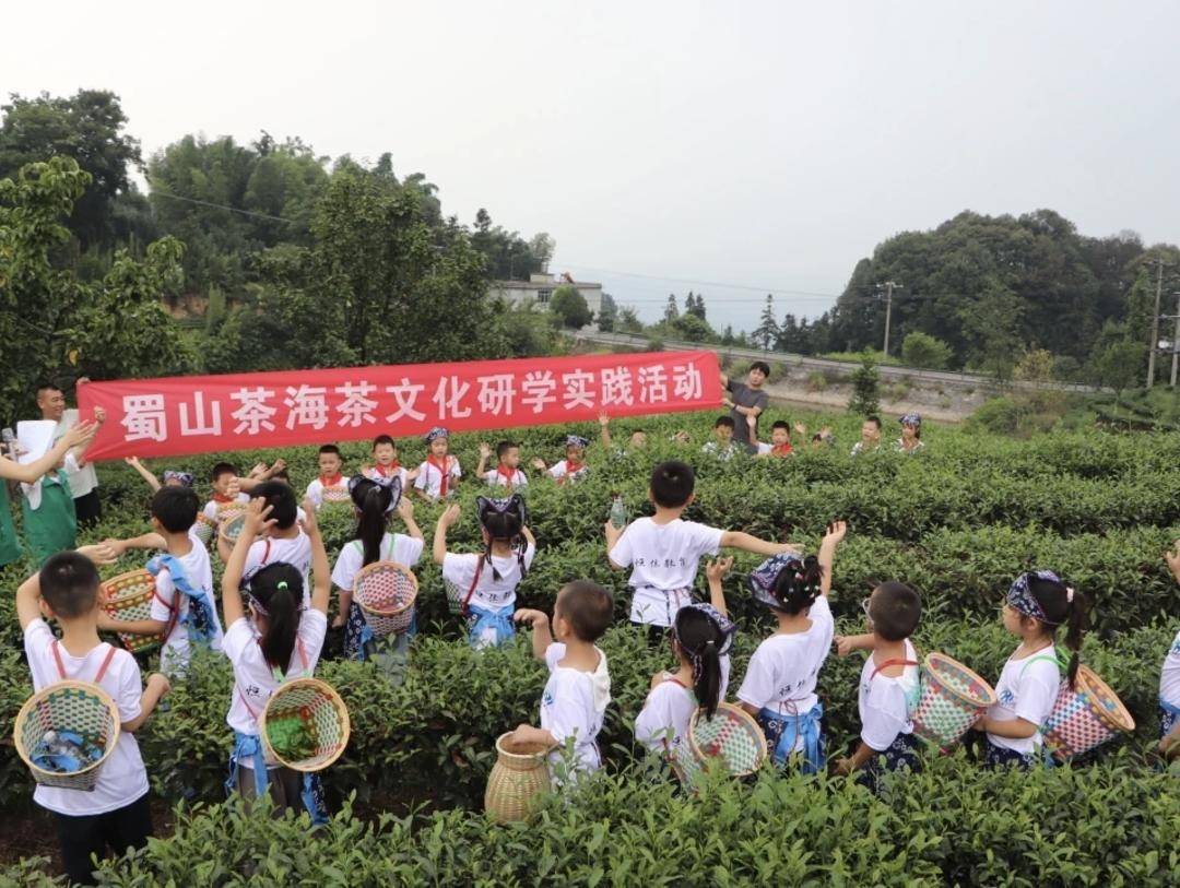 尋味春晚！四川宜賓高縣釋出5條精品旅遊線路，解鎖春日文旅新體驗