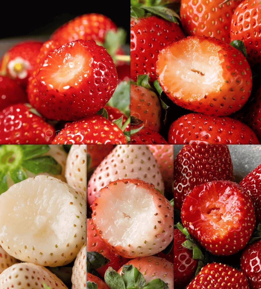 快放假了，美食公司都買些什麼好吃年貨回家？