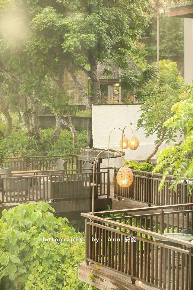 【巴厘島】：“獅王”出手，引爆“王炸美食酒店”！價效比極高！