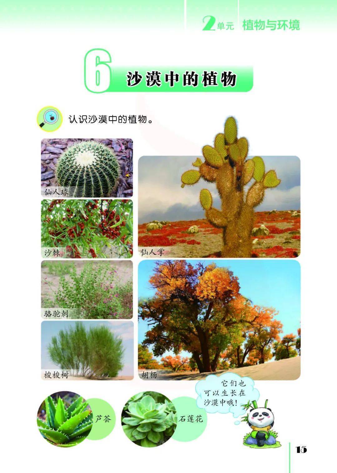 2026蘇教版五年級科學下冊電子課本(PDF高畫質版新教材)