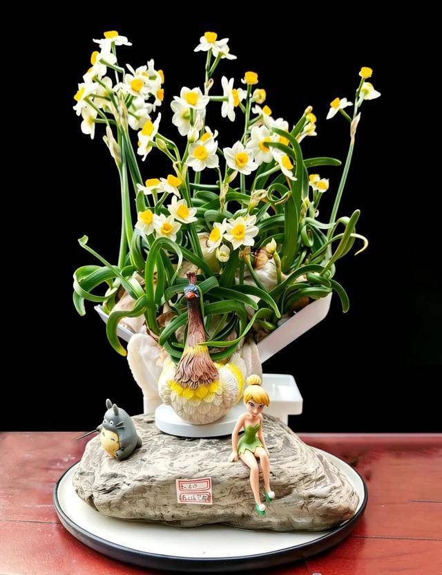 2026年新春水仙花展暨水仙雕刻藝術展亮相濟南公園