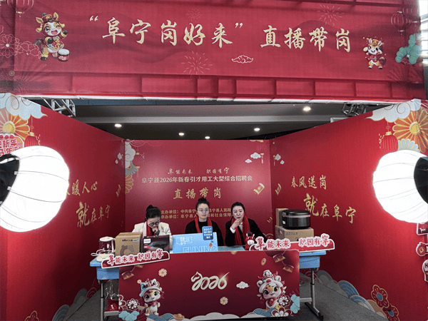 江蘇阜寧新春首場大型綜合招聘會火熱開場