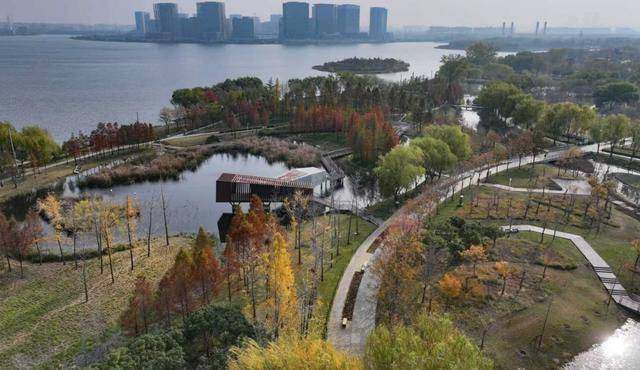 春節剛過，“小天鵝旅遊團”翩躚降臨北龍湖