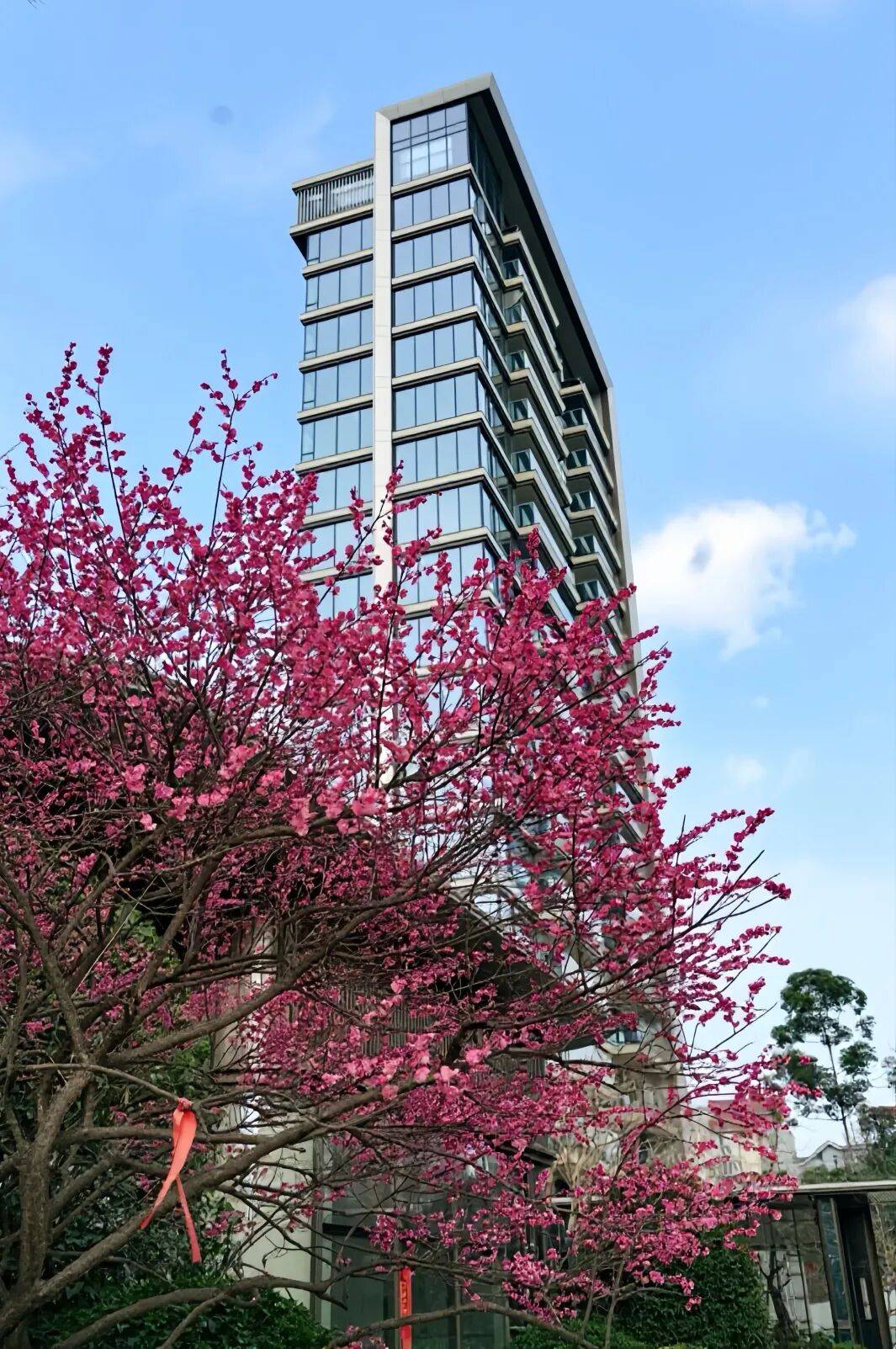 保租房、永珍天地、“天空之城”……成都TOD最新訊息來啦→