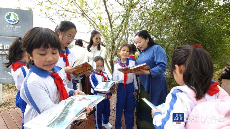 開學第一課，這群深圳小學生帶上爸媽，帶上書本走進紅樹林
