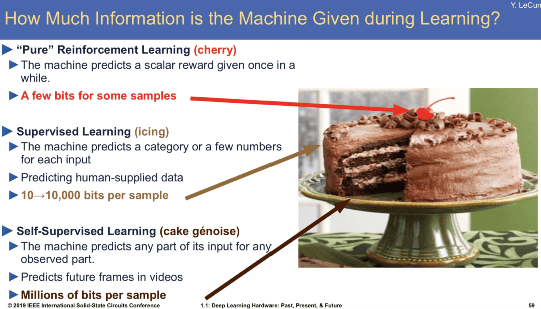 LeCun團隊新論文：模仿人類智慧搞AI，照貓畫虎死衚衕