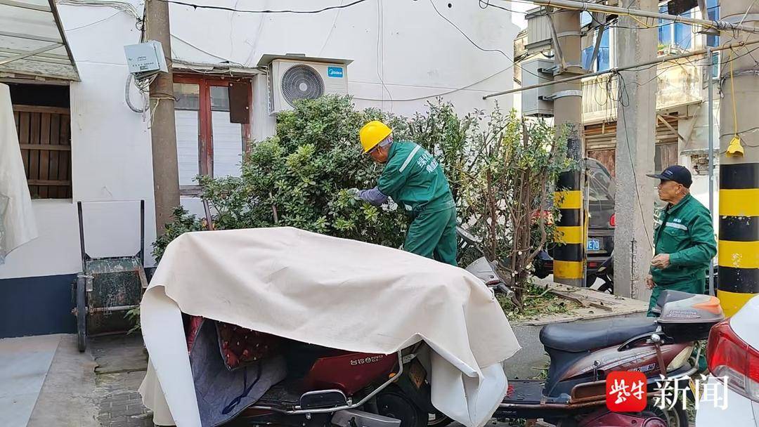 及時修剪樹木，社羣快速處置解民憂