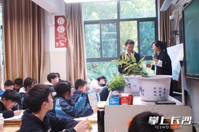 原創南雅中學將中醫藥文化“種”進學生心田