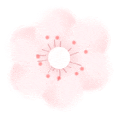 收藏！泉州春日賞花去哪裡？花期+地址全攻略