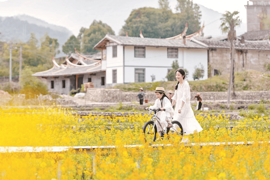 收藏！泉州春日賞花去哪裡？花期+地址全攻略