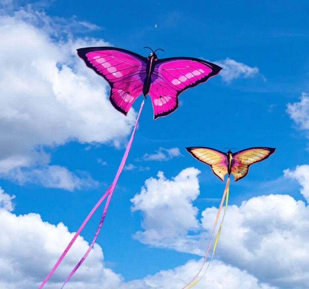 原創速衝！“好客山東・美食爭霸賽” 濰坊美食推廣季即將啟動！非遺美食、家電特惠、烤肉節……