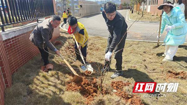 寧遠縣第十三完全小學開展植樹節主題黨日活動