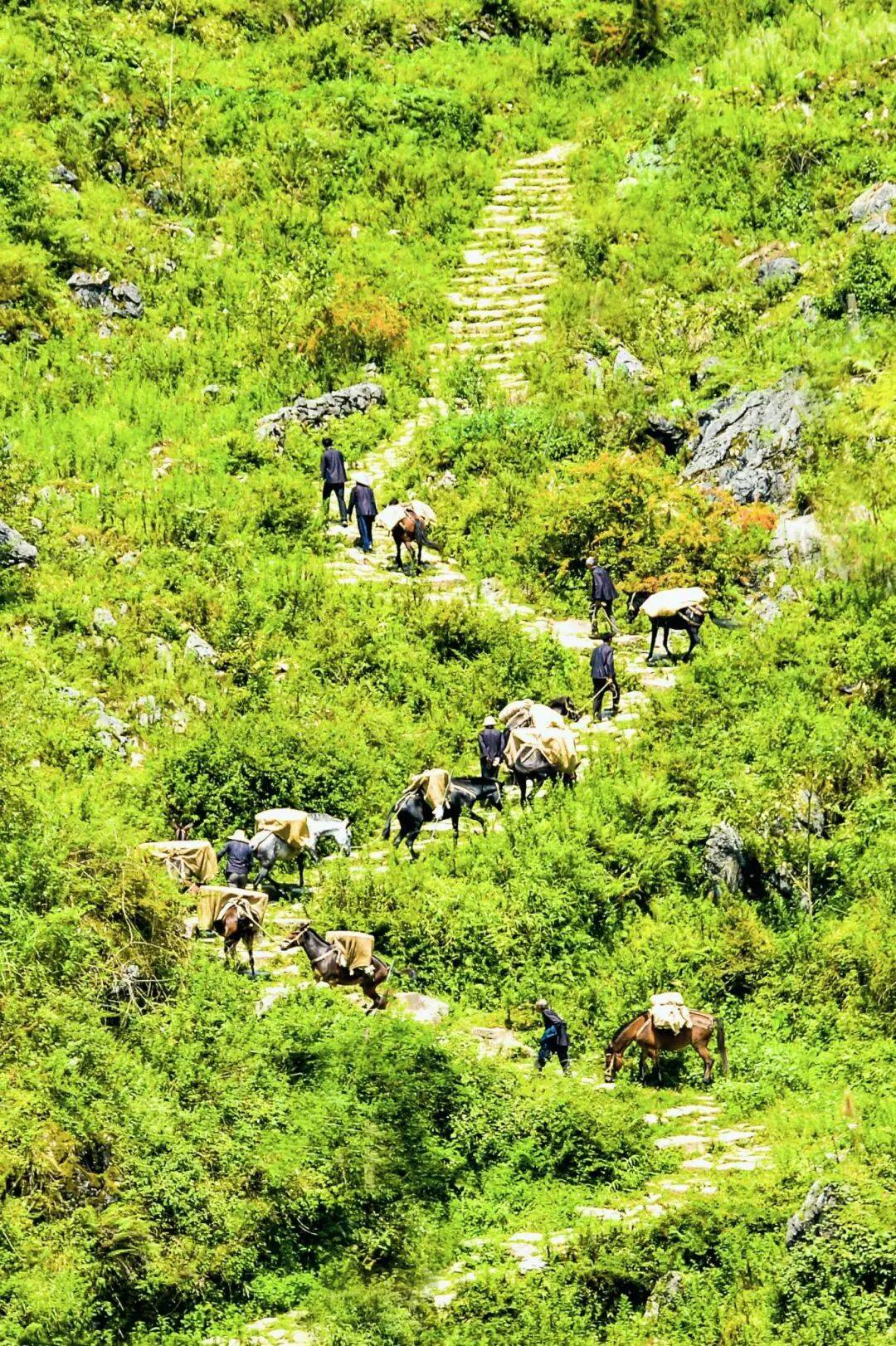 雕刻於喀斯特天地間的貴州村落（中）