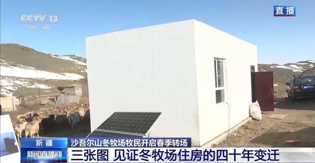 20萬餘頭牛羊“搬家”進行中 阿勒泰春季轉場有多壯觀