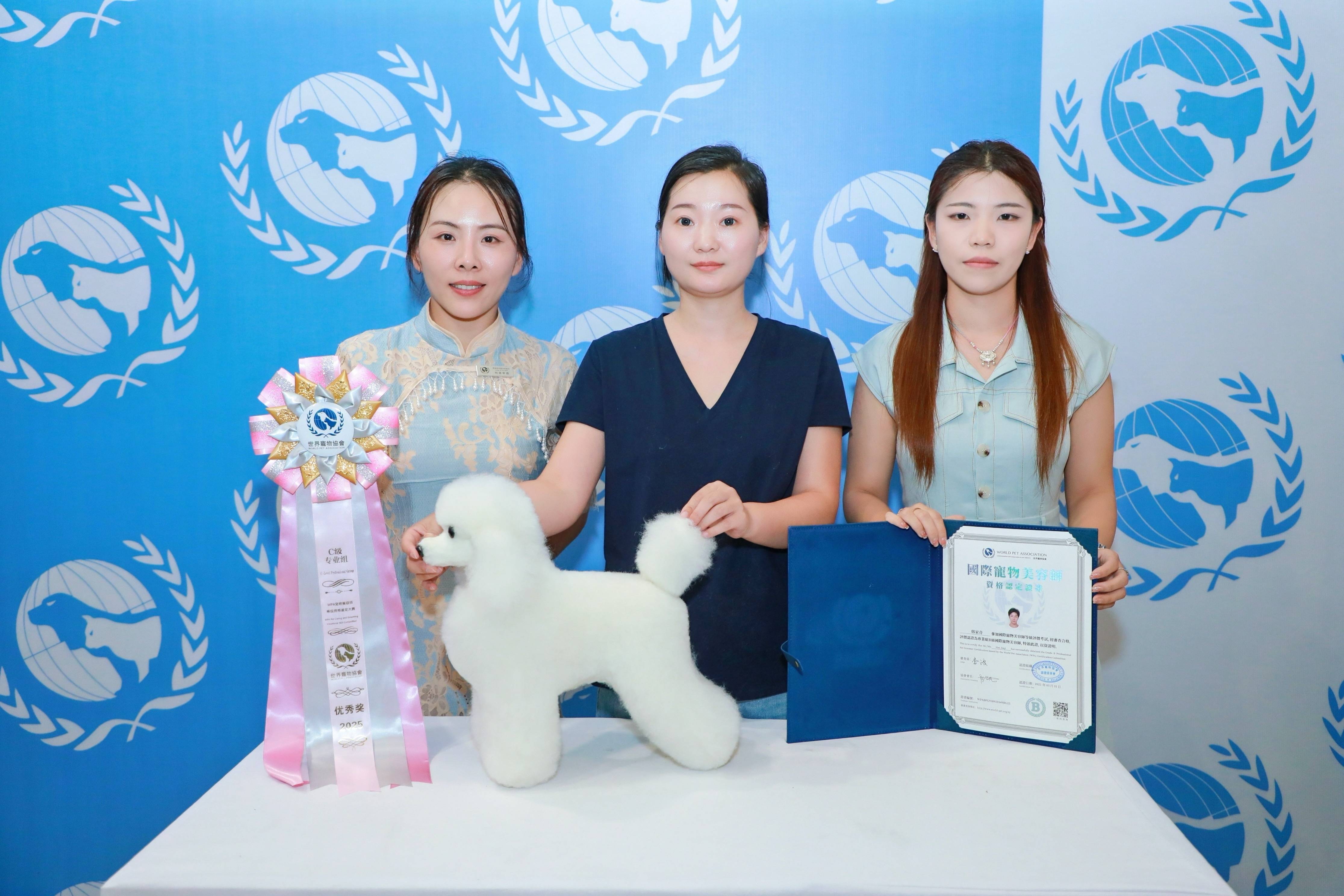 探尋寵物美容學校如何選擇，揭秘寵物美容服務價格範圍