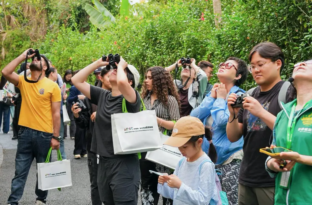 留學生們走進華僑城溼地 共探深圳“生態之美”