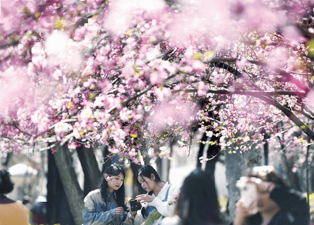 “春假+清明”帶熱春季旅遊 昆明躋身熱門飛行目的地前十