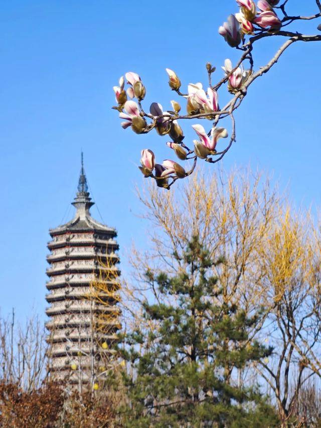 鄉韻通州｜“御河夜遊·漕運尋蹤”鄉村旅遊精品線路