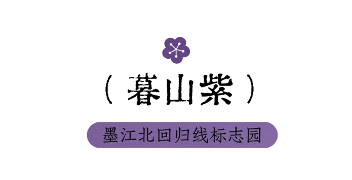 當用中國傳統色開啟“湄公河旅遊”，原來風景可以這麼詩意~