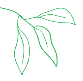 活動丨春假+清明，成博開放時間+4月活動全攻略，一鍵收藏！