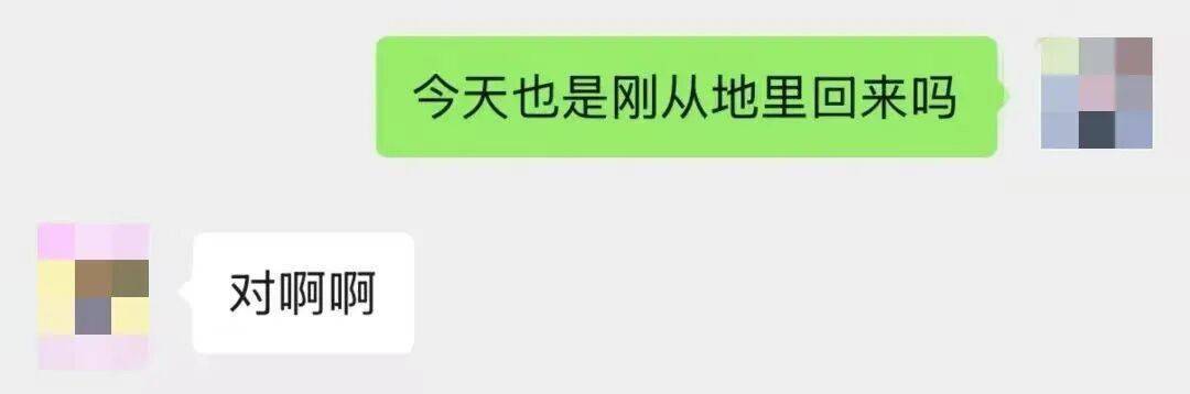全中國最接地氣的大學生，被小看了