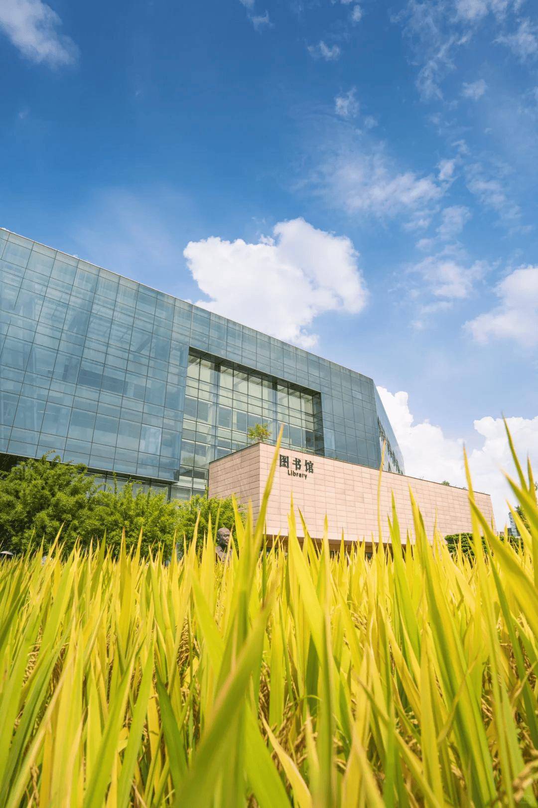 全中國最接地氣的大學生，被小看了