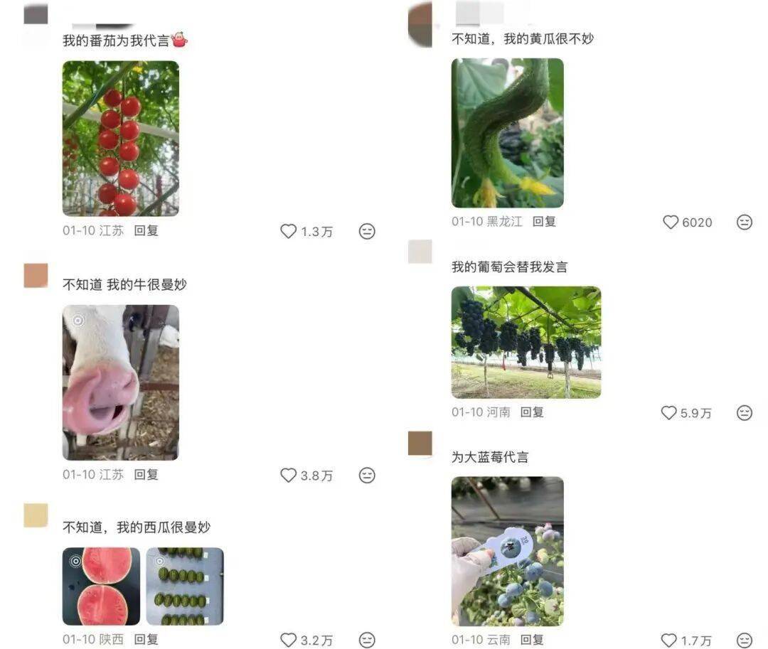 全中國最接地氣的大學生，被小看了