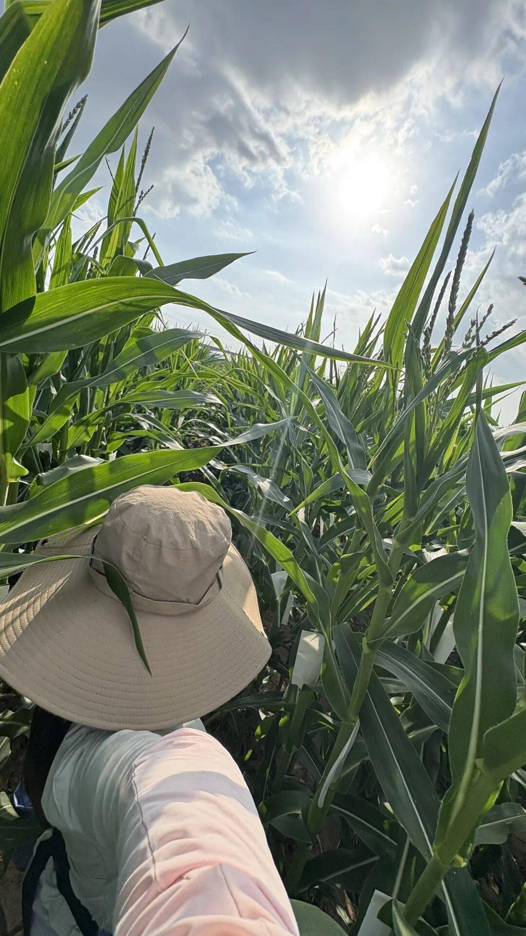 全中國最接地氣的大學生，被小看了