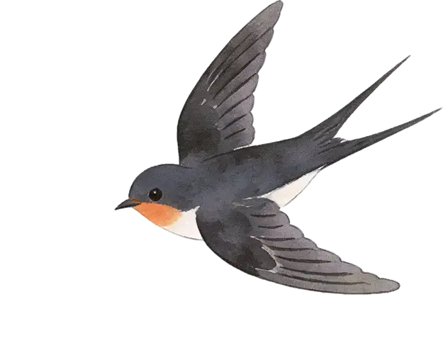 別再去人擠人的景區了！廈門這個寶藏地才是春天的正確開啟方式！古風拍照+親子農耕+知青懷舊，趕緊收藏！