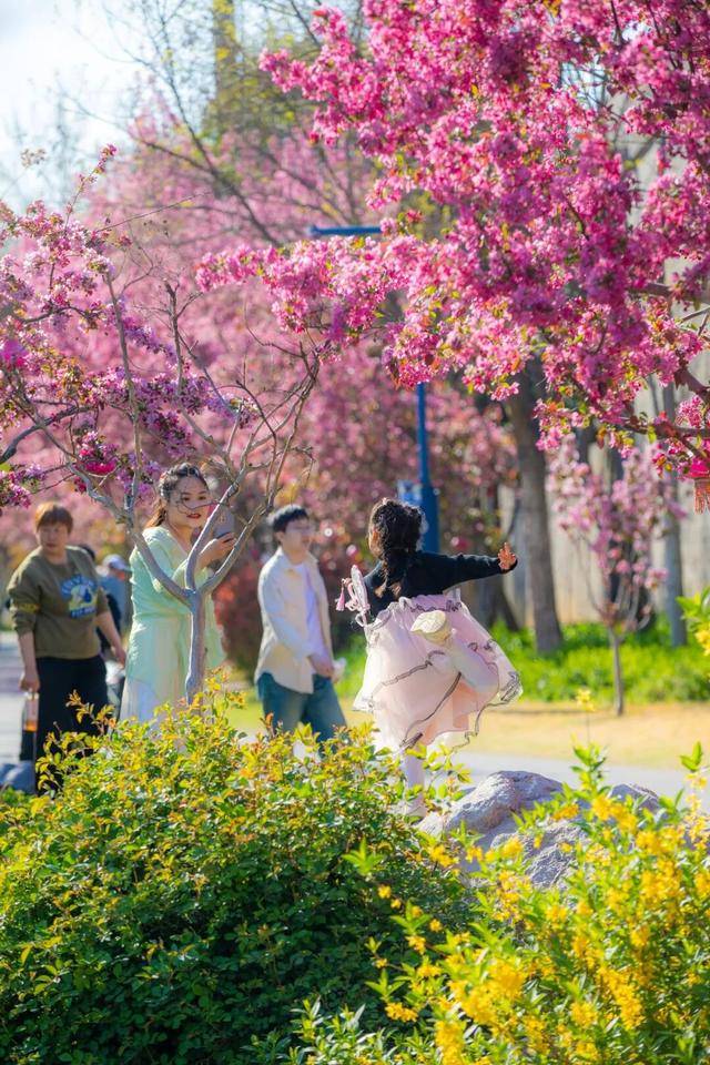 清明假期遛娃天花板！來臺兒莊古城解鎖親子“玩中學”的春日童話~