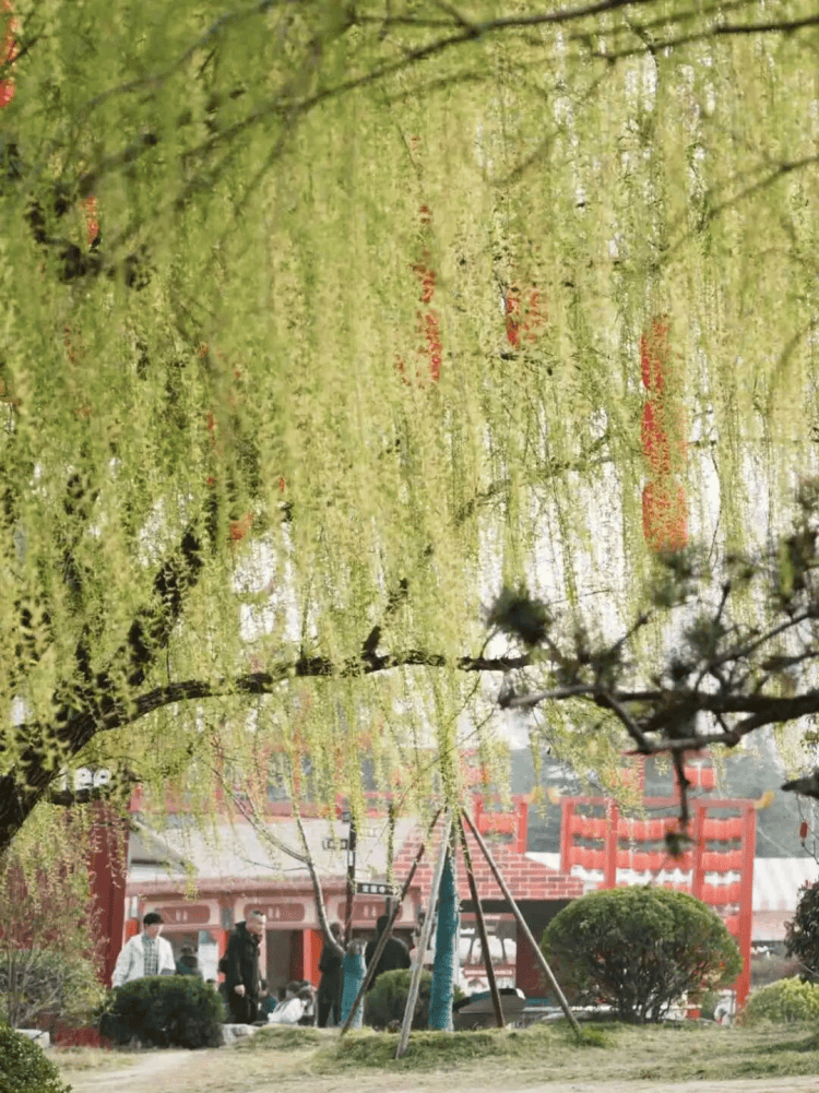 江蘇徐州：“春假+清明”去哪裡？這份“經開六小時”遊玩攻略請收藏！