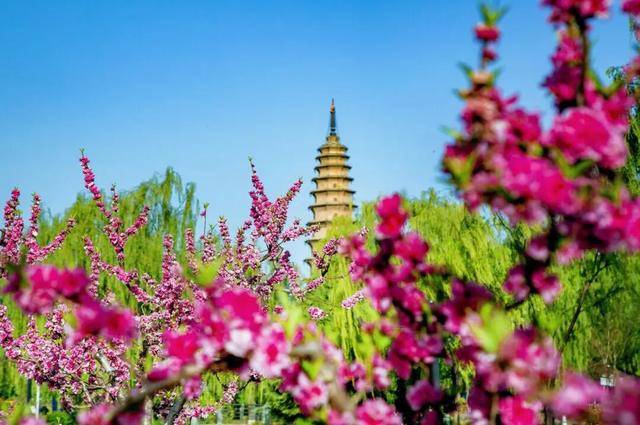 一磚一瓦遇春光，收藏這一幀幀“山河春韻圖”