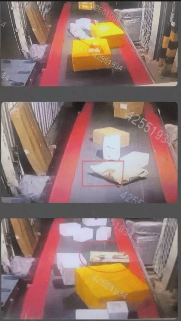 快評丨一件帶血跡的快遞，藏著多少秘密？