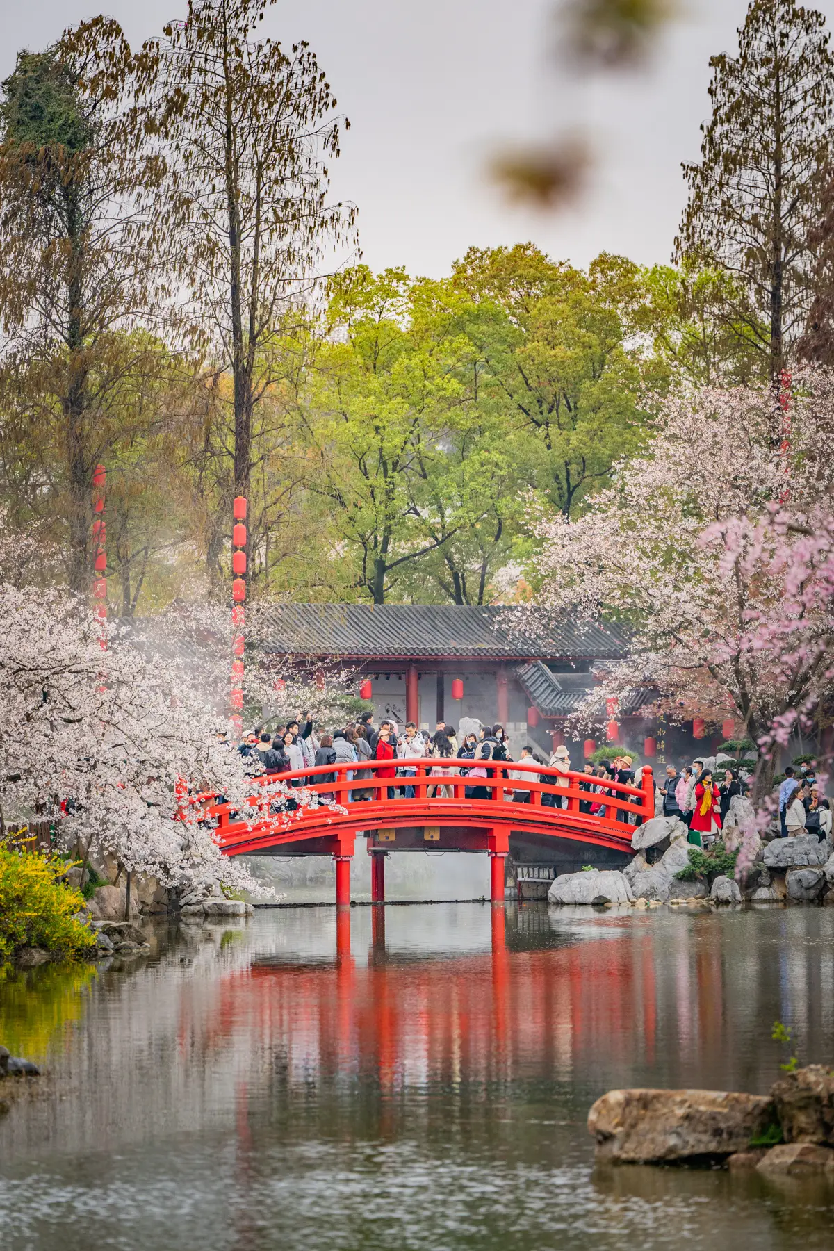 湖北旅遊產品搜尋增長超180%，武漢穩居全國十大熱門旅遊目的地