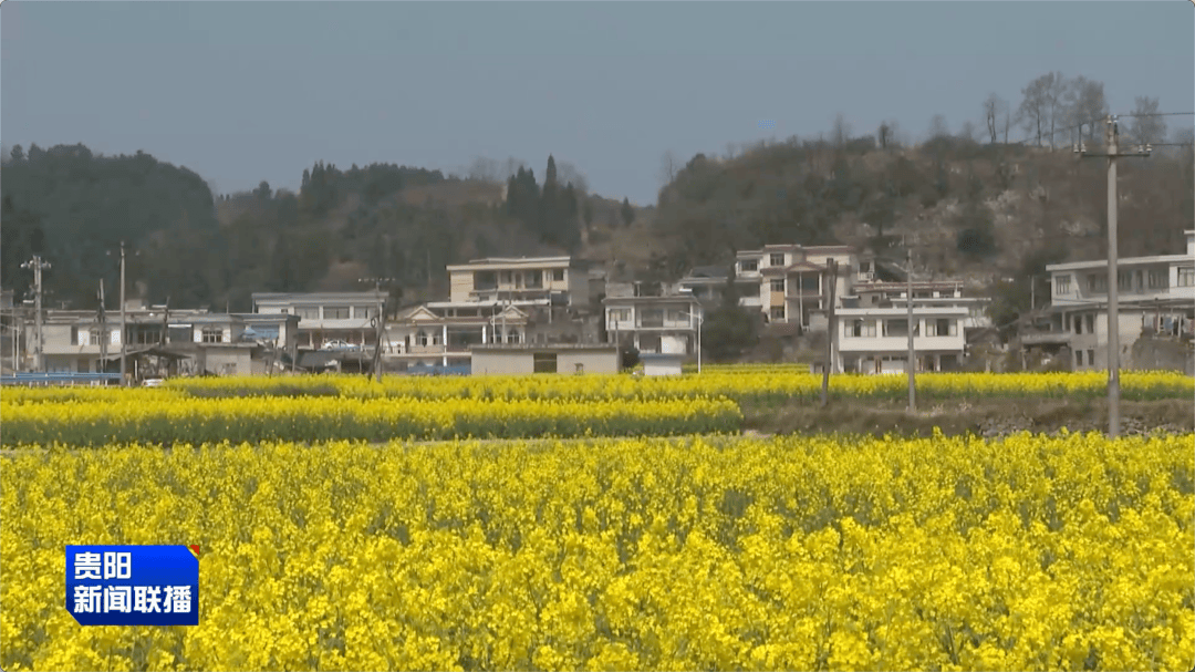 科技賦能！貴陽貴安山地農業現代化提速增效