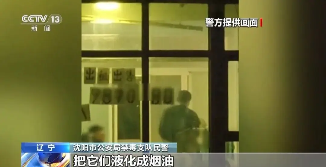 吸食後嘔吐、暈厥、說話磕巴：這種“上勁電子煙”的傷害，不可逆