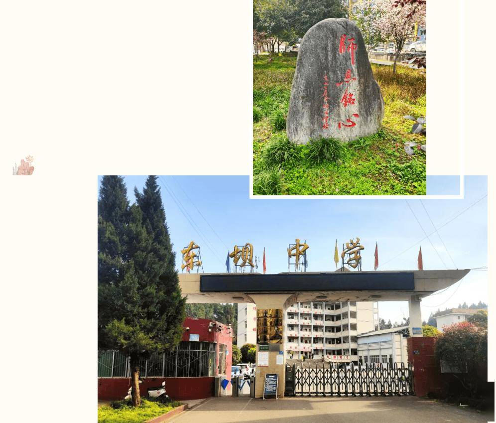 南部縣東壩中學校友會成立倡議書！（內附秘書長微信）